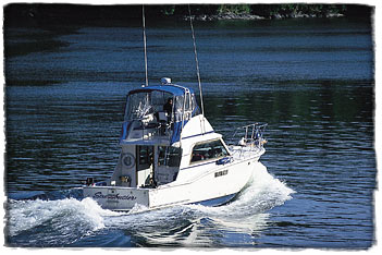 The resorts beautifully maintained sport fishing vessels feature state-of-the-art electronics and navigational equipment. Fully outfitted and coast guard approved, the fleet includes a 38' Hatteras Sport Fisherman, three 25' Robalo Centre Consoles, an 18' Campion, and two 25' Pursuits. 